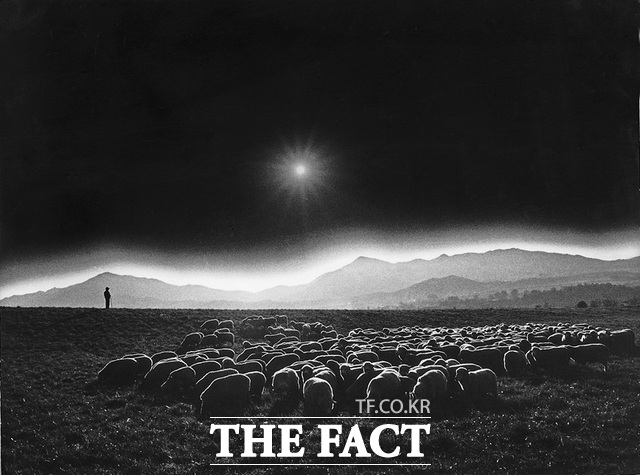 서규원 작 바래봉 목가2. /사광회