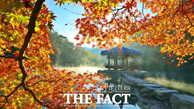 내장산국립공원이 한국관광공사 주관 2025 관광AI 오픈 이노베이션 사업 실증지로 최종 선정되며 관광 교통과 주차난 등 오랜 과제를 AI 기술로 해결하는 길이 열렸다. / 정읍시