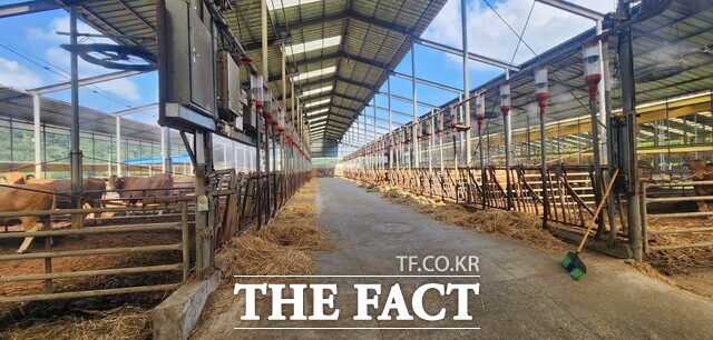 저탄소 축산물 인증 농장. /전남도