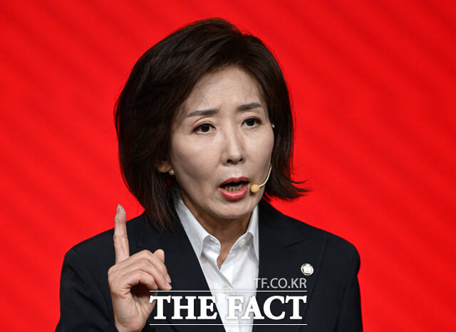 나경원 국민의힘 의원이 법제사법위원회 간사직 수락을 두고 빠루 사건을 언급한 김현 의원의 발언에 나와 국힘에 대한 명백한 명예훼손이라고 비판했다. /더팩트 DB