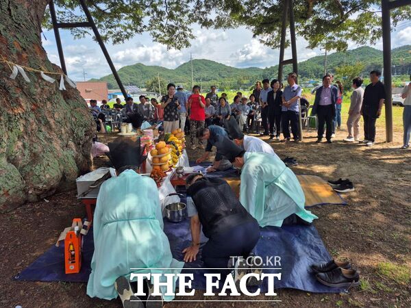 대전 서구 괴곡동 마을운영위원회는 음력 칠월칠석을 맞아 29일 지역의 안녕과 한 해의 풍년을 기원하는 ‘천연기념물 느티나무 목신제’를 개최했다./대전 서구