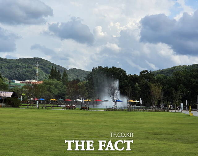 천안삼거리공원 잔디마당 전경./정효기 기자