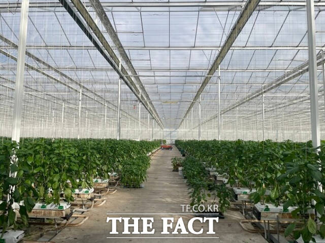 남원시 청년창업 스마트팜 패키지 지원사업에 선정된 한 스마트팜 농장. /남원시