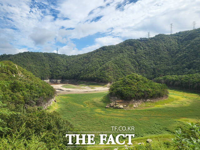 상수원지 보호 구역이라는 표지판이 무색하게 2일 최저 저수량을 기록한 강릉 오봉저수지에는 풀과 곤충만 가득차 있다. /강릉 오봉저수지=오승혁 기자