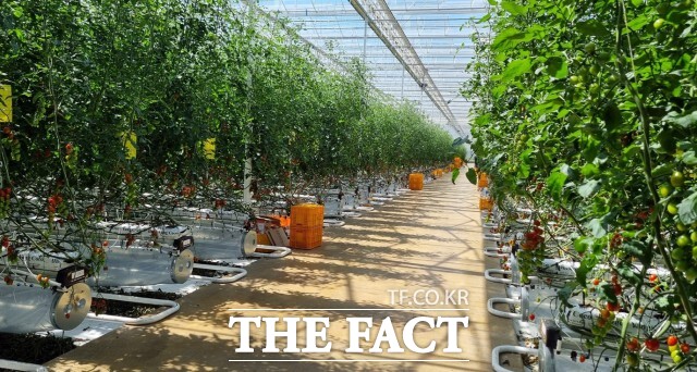 정읍시가 스마트농업 전환과 청년 농업인의 안정적 정착을 위해 2026년 청년창업 스마트팜 패키지 지원 사업 공모를 시작한다고 2일 밝혔다. / 정읍시