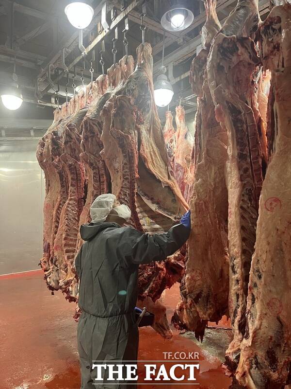 대전보건환경연구원이 추석 명절기간 육류 소비 급증이 예상됨에 따라 식육 수급 안정화에 나선다./대전보건환경연구원