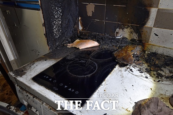 지난 1월 서구 관저동의 한 주택에서 발생한 반려동물 관련 화재사고 현장./대전소방본부