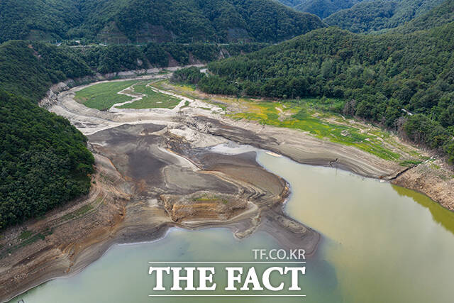 상류는 물 대신 풀과 잡초들이 무성하게 자라나고 있다.