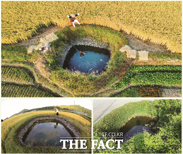 경남 고성군 국가중요농업유산 둠벙/고성군