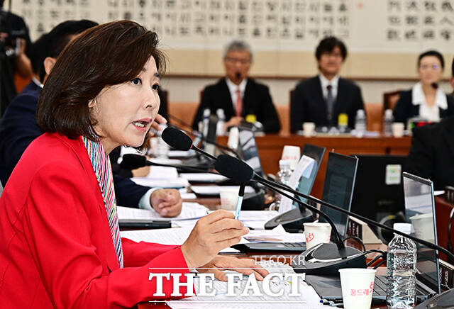 질의하는 나경원 국민의힘 의원.