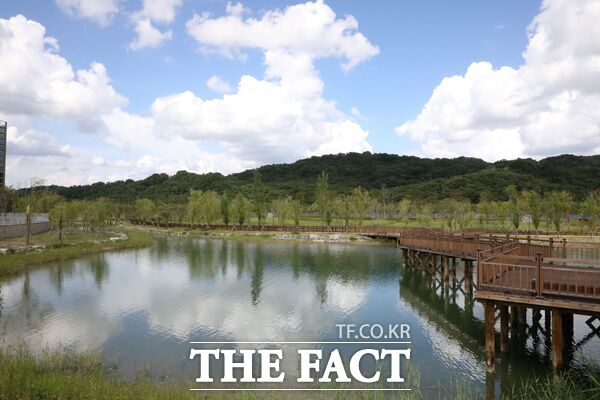 갑천생태호수공원이 총사업비 950억 원이 투입돼 43만 1244㎡ 규모로 조성돼 오는 27일 개장한다. 사진은 갑천생태공원 내에 조성된 호수공원./대전도시공사
