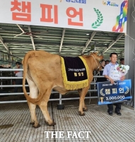  경남 한우경진대회 함양서 개최, 67농가 84두 출품