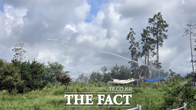 정읍시농업기술센터는 기후변화에 따른 가뭄 대응과 양질의 조사료 안정적 생산을 위해 가뭄대응 사료작물 안전재배 단지 육성 시범사업을 추진하고 있다. / 정읍시