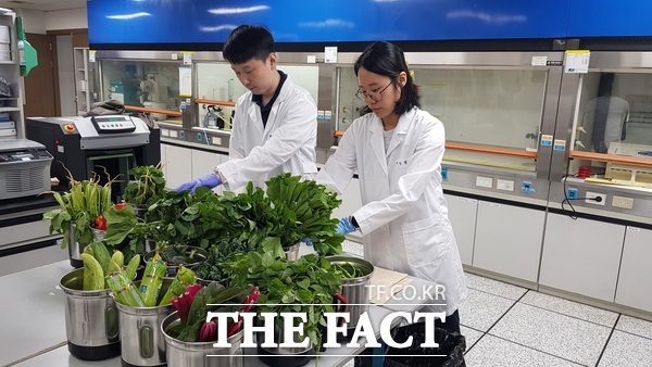 대전보건환경연구원 관계자들이 여름철 농산물을 대상으로 잔류농약 검사를 실시하고 있는 모습 /대전시