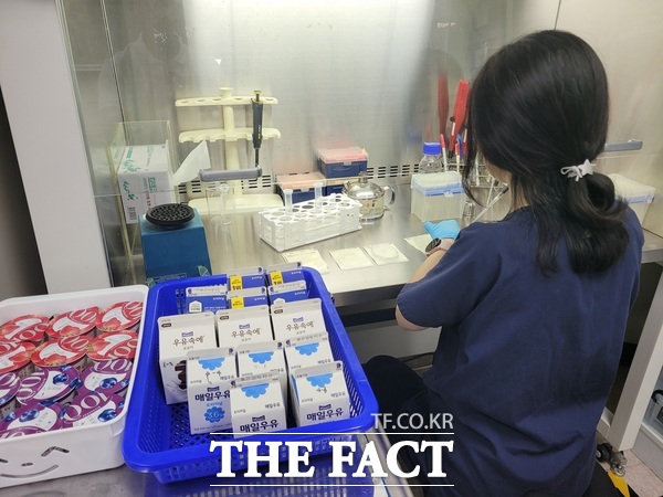 대전보건환경연구원이 관내 유통되는 유가공품에 대해 안전검사를 실시하고 있는 모습 /대전시