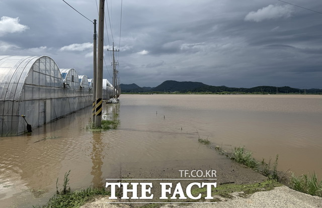 나주 동강면 벼·딸기하우스 침수피해 현장./전남도