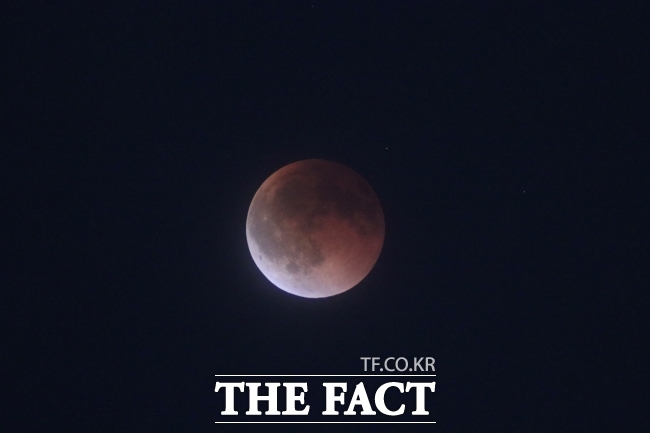 과천시 개기월식 공개 관측에서 촬영한 개기월식 모습 /과천시