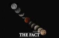 3년 만의 개기월식 '신비한 우주쇼' [TF사진관]