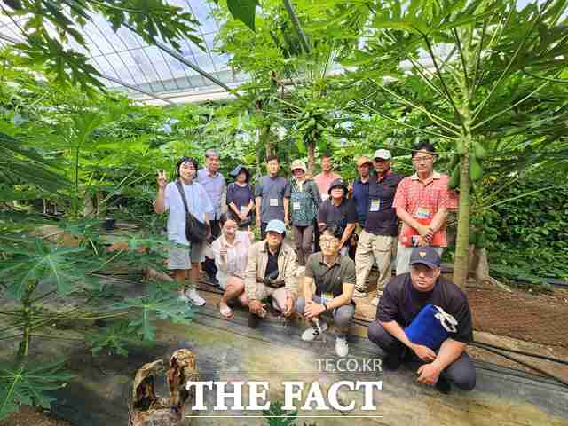 당진시 신규 농업인 기초 영농 기술교육 농가 견학 장면(송산면 아열대작물 농가). /당진시