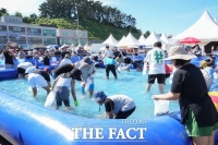  서천 홍원항 자연산 전어·꽃게 축제, 9만 5000명 방문 '성황리 종료'