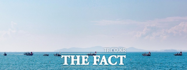 이달 1일 주꾸미 금어기가 해제된 가운데 대천앞바다에 주꾸미 낚시 어선들이 출항해 있다. /보령시