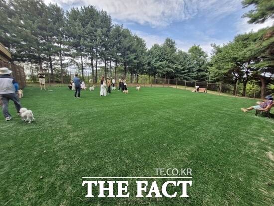8일 대형견 놀이터 증설과 자동출입 시스템 구축 등을 마친 뒤 재개장한 경기 고양시 정발산 반려견 놀이터 모습 /고양시