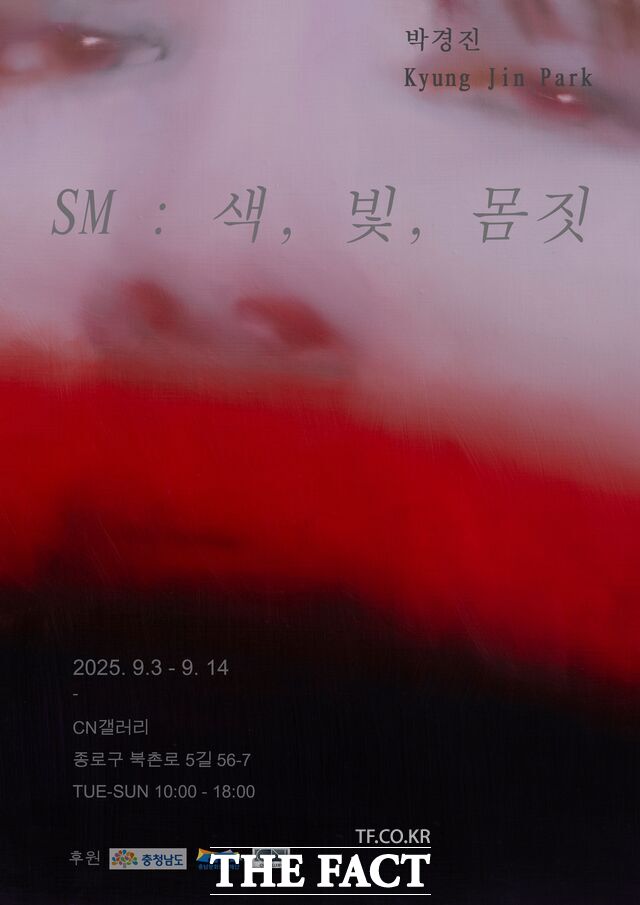 2025년 제8차 정기대관전 SM :색, 빛, 몸짓 포스터. /충남문화관광재단