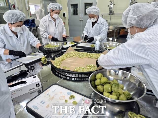 농식품 제품개발 실무 교육 상반기 진행 모습. /보성군