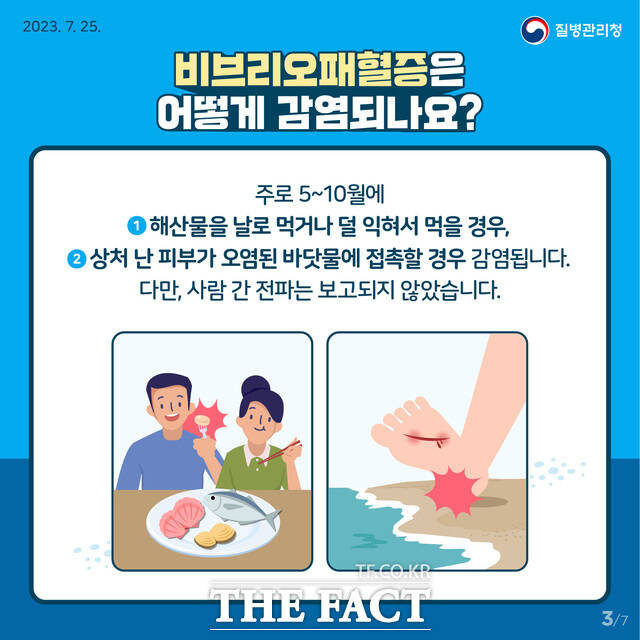 비브리오패혈증 예방 홍보물 /전남도