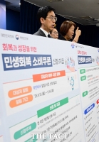  민생회복 소비쿠폰 2차 지급 브리핑하는 김민재 행안부 차관 [포토]
