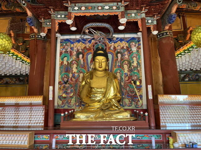 비암사 극락보전 소조아미타여래좌상. /세종시