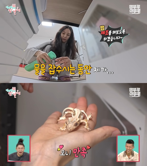 배우 한지은이 지난 6일 MBC 예능 프로그램 전지적 참견 시점에 출연해 반려 도마뱀 모니를 공개했다. /방송 화면 캡처