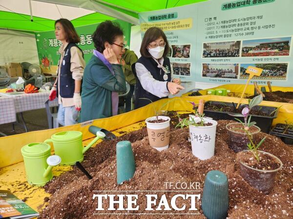 지난해 열린 계룡軍문화축제에서 운영한 도시농업 홍보관의 모습./계룡시