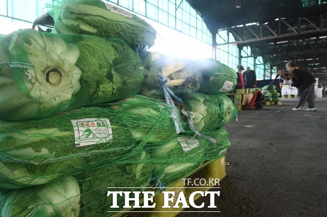 정부가 농산물 유통 구조를 개선해 오는 2030년까지 10% 낮추기로 했다. 이를 위해 도매시장 거래의 50%를 온라인으로 전환한다./더팩트DB