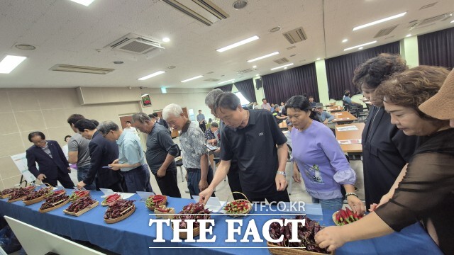 고창군이 지난 15일 농업기술센터 대강당에서 군 관계자와 관내 고추 재배농가, 고창명품고추연구회 회원 등 80여 명이 참석한 가운데 2025년 고추 품종 평가회를 열었다. / 고창군
