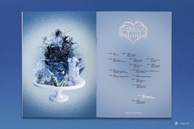 그룹 엔믹스가 16일 첫 정규앨범 블루 발렌타인의 프로모션 스케줄러를 공개했다./JYP엔터테인먼트