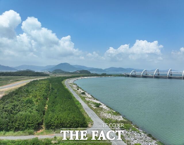 해남군 산이면 구성지구 해안방재림 전경/전남도