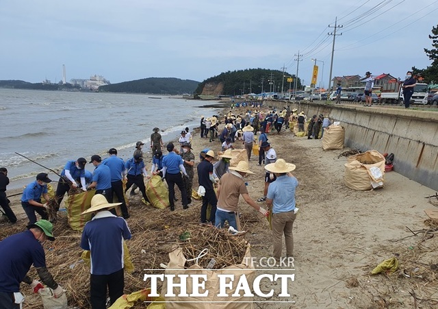 서천 남촌 해안가에 밀려온 해양쓰레기를 수거하고 있다. /충남도
