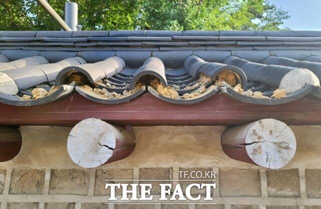 유네스코 세계유산인 종묘 담벼락을 훼손한 50대가 경찰에 붙잡혔다. 서울 혜화경찰서는 17일 문화유산보호법 위반 혐의로 50대 A 씨를 검거해 조사 중이라고 밝혔다. /국가유산청 제공