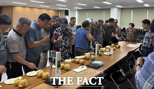 나주시가 나주시농업기술센터에서 신화 품종 재배 농가 35명을 대상으로 숙기 판정 컨설팅을 진행하고 있다./나주시