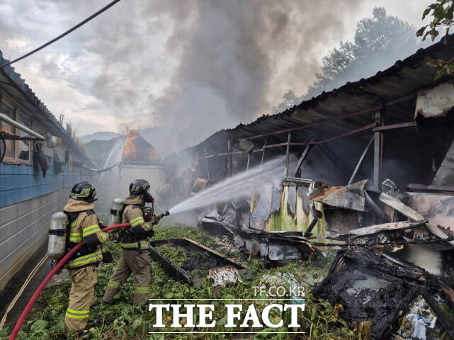17일 오전 6시 28분쯤 충남 청양군 장평면 한 돈사에서 불이 나 소방대원들이 진화에 나서고 있다. /청양소방서