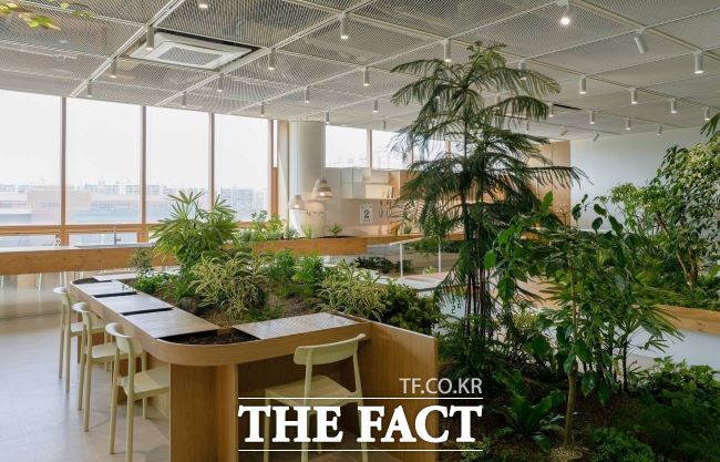 소하담숲 풀밭책상. 식물을 심고 만질 수 있는 모임형 원예프로그램을 운영하는 등 치매예방을 위한 다감각 자극 프로그램을 운영한다. /광명시