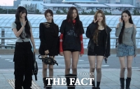  [TMA클립] '5명의 고양이'가 인천공항 빛냈다…미야오의 설레는 출국길 (영상)