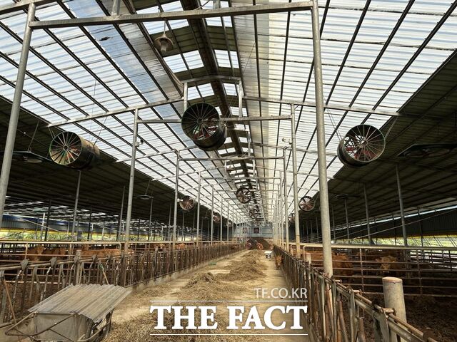 완도군이 스마트 축산 기술 보급 시범 사업을 추진하고 있다./완도군