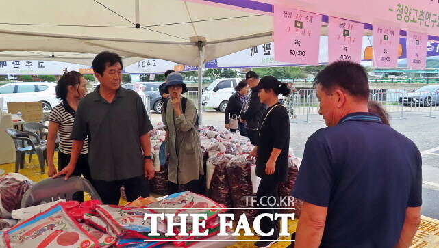 제26회 청양 고추·구기자 축제’가 19일 백세공원 일원에서 열린 가운데 관광객들이 고추판매장에서 구매하고 있다. /김형중 기자