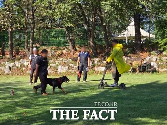 경기도 내 상설 기질평가장에서 관계자들이 맹견에 대한 기질 평가를 진행하고 있다. /경기도