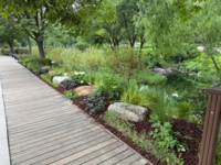  도심에 신선한 산·강바람…서울시, 7만㎡ '바람길숲' 조성