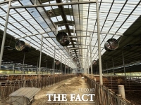  완도군, 기후변화 대응 '스마트 축산 시범 사업' 추진