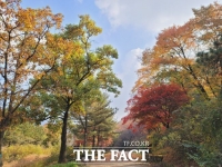  '서울대 안양수목원' 11월 전면 개방…무상양여 완료