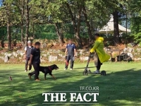  '맹견 소유' 경기도민, 내달 26일까지 '사육 허가' 받아야